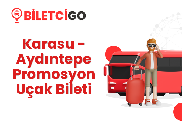 Karasu → Aydıntepe Promosyon Uçak Bileti