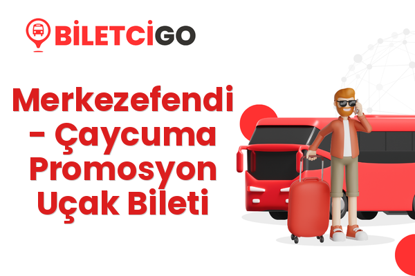 Merkezefendi → Çaycuma Promosyon Uçak Bileti
